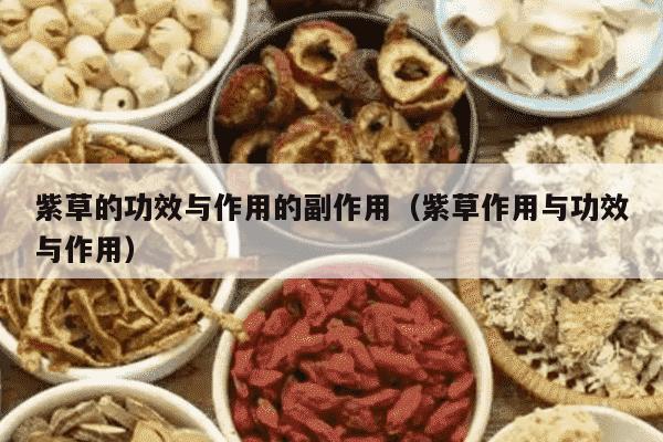 紫草的功效与作用的副作用（紫草作用与功效与作用）