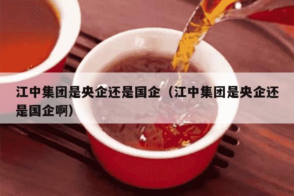 江中集团是央企还是国企（江中集团是央企还是国企啊）