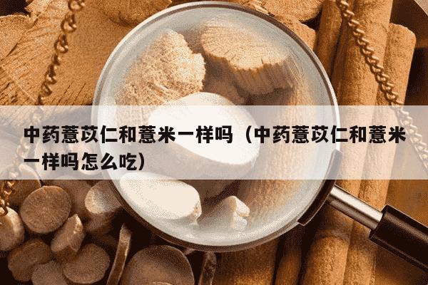 中药薏苡仁和薏米一样吗（中药薏苡仁和薏米一样吗怎么吃）