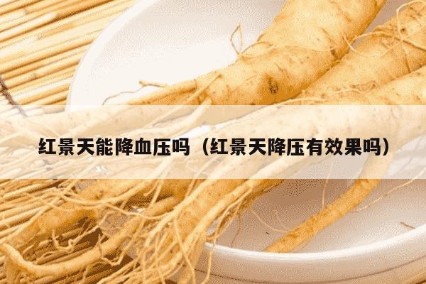 红景天能降血压吗（红景天降压有效果吗）