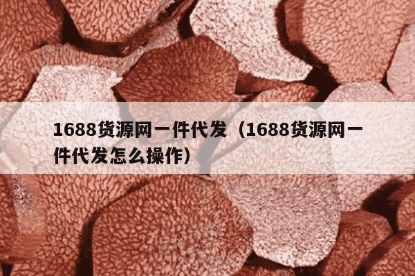 1688货源网一件代发（1688货源网一件代发怎么操作）