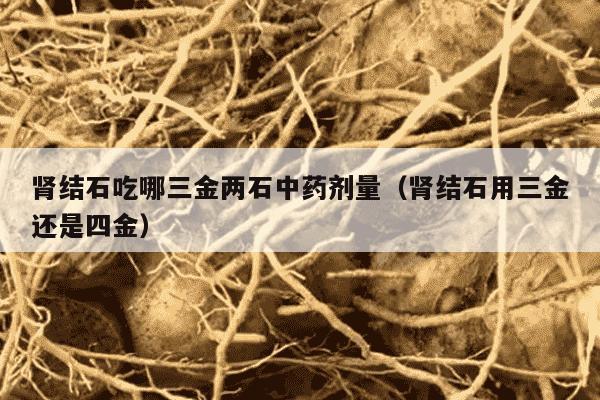肾结石吃哪三金两石中药剂量（肾结石用三金还是四金）