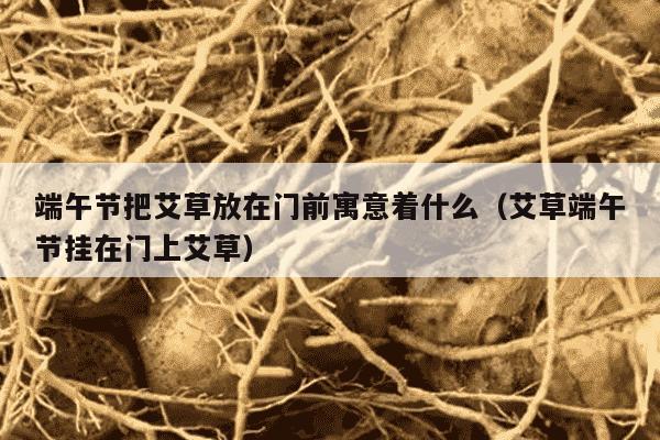 端午节把艾草放在门前寓意着什么（艾草端午节挂在门上艾草）