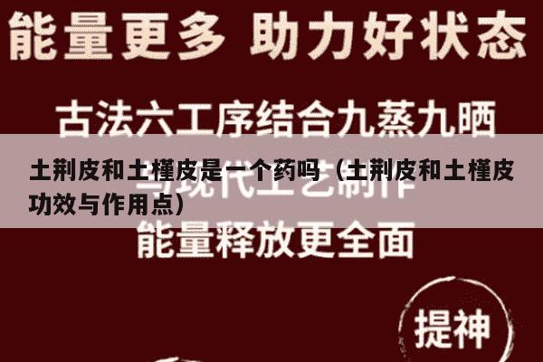 土荆皮和土槿皮是一个药吗（土荆皮和土槿皮功效与作用点）