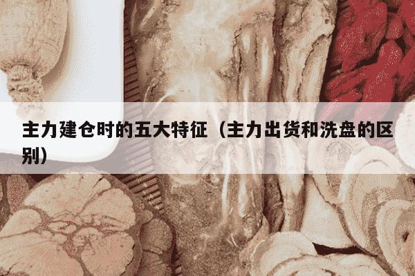 主力建仓时的五大特征（主力出货和洗盘的区别）