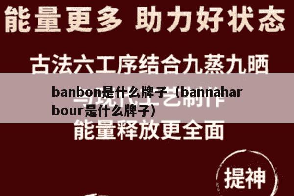 banbon是什么牌子（bannaharbour是什么牌子）