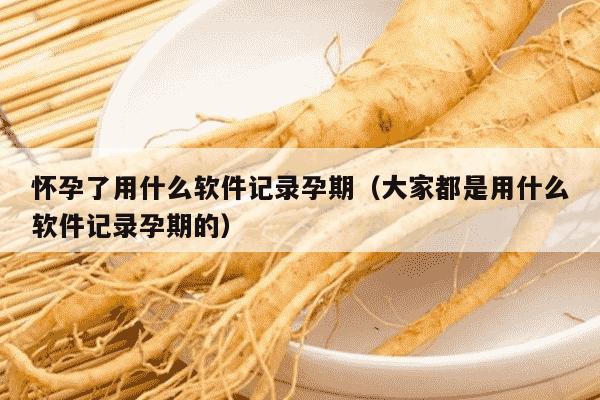 怀孕了用什么软件记录孕期（大家都是用什么软件记录孕期的）
