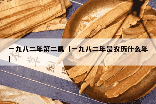 一九八二年第二集（一九八二年是农历什么年）