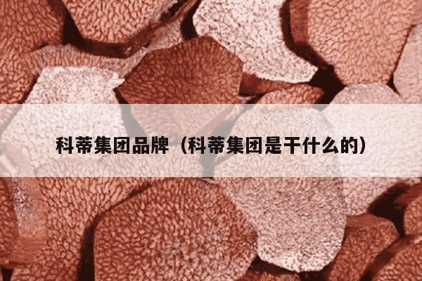 科蒂集团品牌（科蒂集团是干什么的）