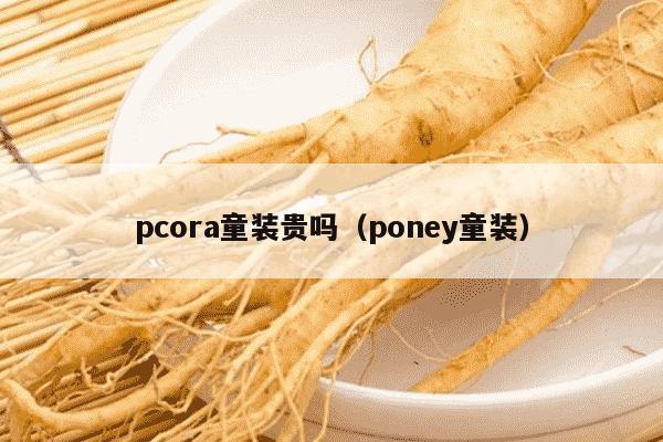 pcora童装贵吗（poney童装）