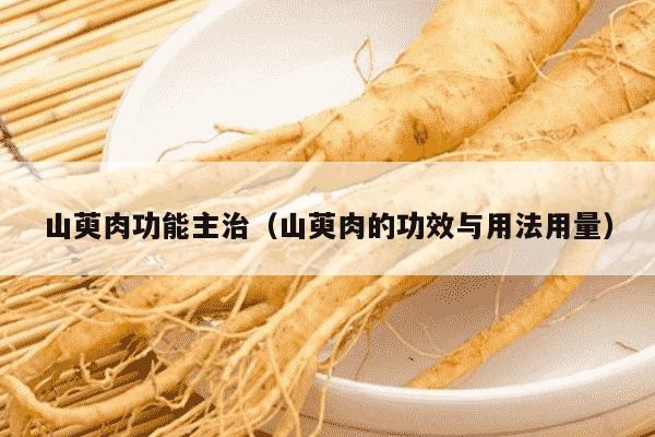 山萸肉功能主治（山萸肉的功效与用法用量）