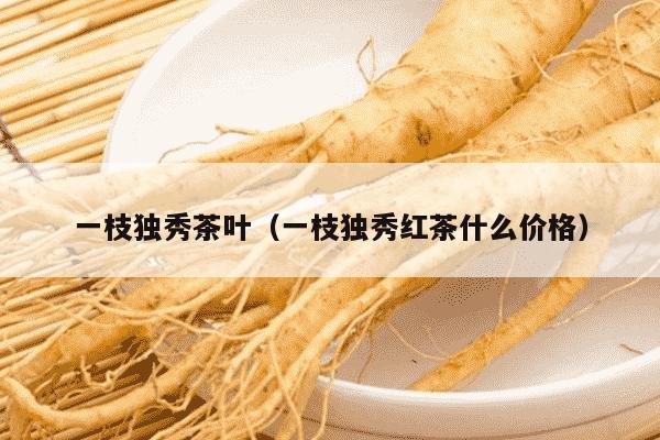 一枝独秀茶叶（一枝独秀红茶什么价格）