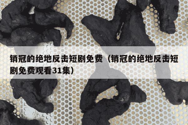 销冠的绝地反击短剧免费（销冠的绝地反击短剧免费观看31集）