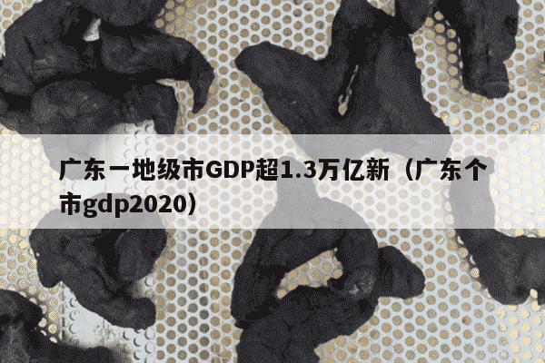 广东一地级市GDP超1.3万亿新（广东个市gdp2020）