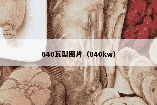 840瓦型图片（840kw）