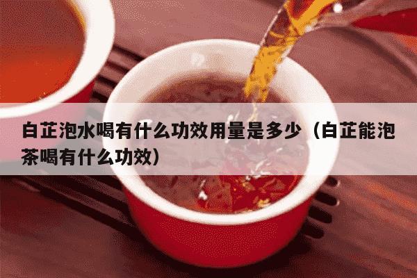 白芷泡水喝有什么功效用量是多少（白芷能泡茶喝有什么功效）