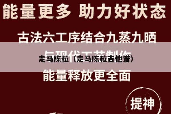 走马陈粒（走马陈粒吉他谱）