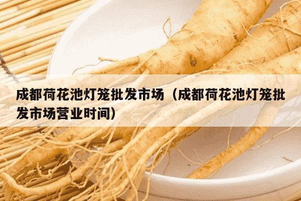 成都荷花池灯笼批发市场（成都荷花池灯笼批发市场营业时间）