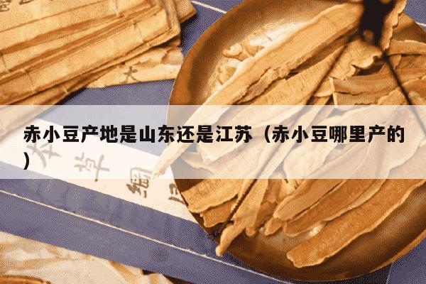 赤小豆产地是山东还是江苏（赤小豆哪里产的）