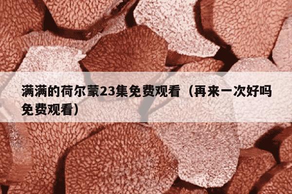 满满的荷尔蒙23集免费观看（再来一次好吗免费观看）