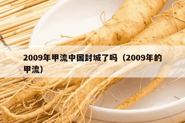 2009年甲流中国封城了吗（2009年的甲流）