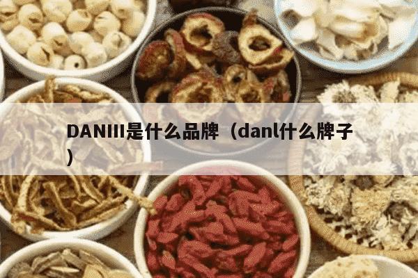 DANIII是什么品牌（danl什么牌子）