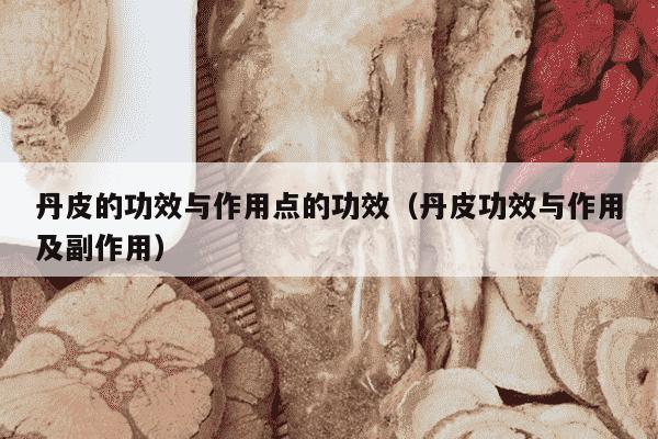 丹皮的功效与作用点的功效（丹皮功效与作用及副作用）