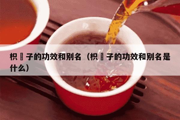 枳椇子的功效和别名（枳椇子的功效和别名是什么）