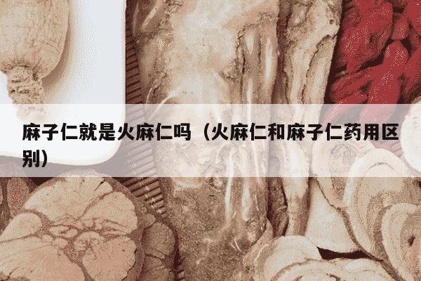 麻子仁就是火麻仁吗（火麻仁和麻子仁药用区别）