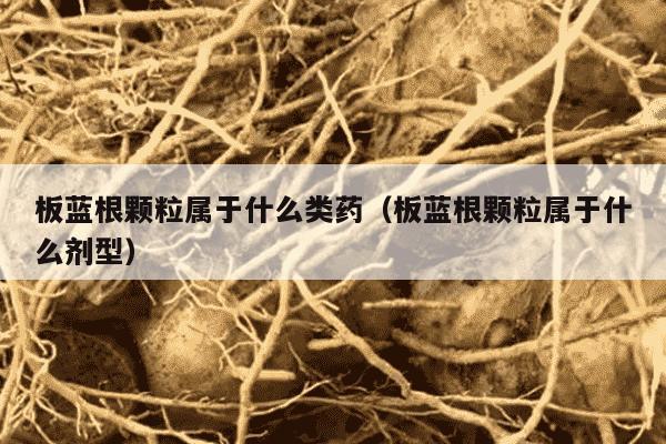 板蓝根颗粒属于什么类药（板蓝根颗粒属于什么剂型）