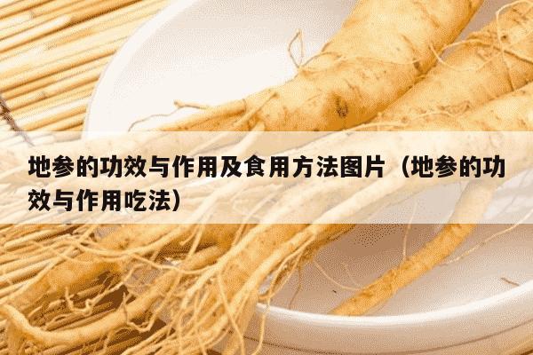 地参的功效与作用及食用方法图片（地参的功效与作用吃法）