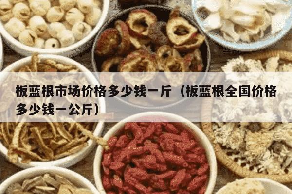 板蓝根市场价格多少钱一斤（板蓝根全国价格多少钱一公斤）