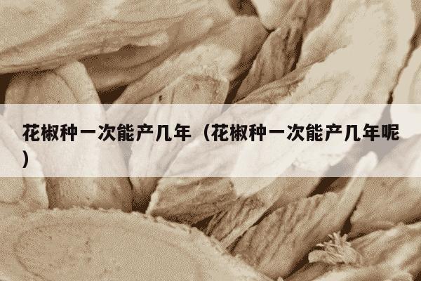 花椒种一次能产几年（花椒种一次能产几年呢）