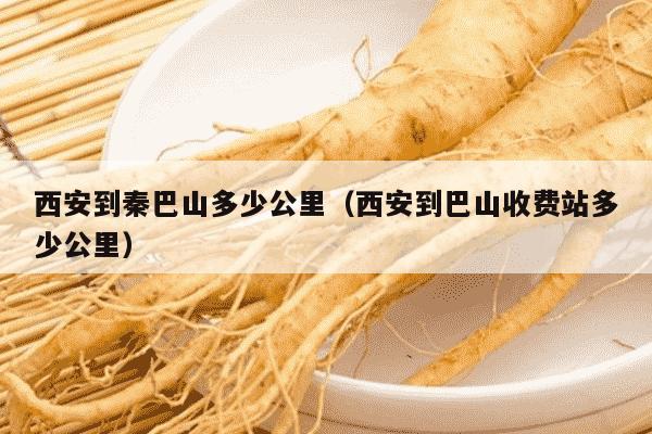 西安到秦巴山多少公里（西安到巴山收费站多少公里）