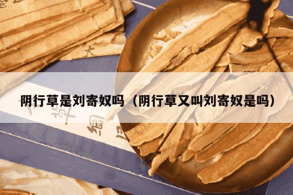 阴行草是刘寄奴吗（阴行草又叫刘寄奴是吗）