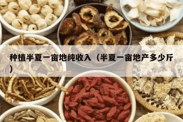 种植半夏一亩地纯收入（半夏一亩地产多少斤）
