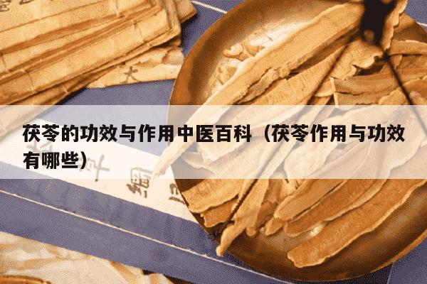 茯苓的功效与作用中医百科（茯苓作用与功效有哪些）
