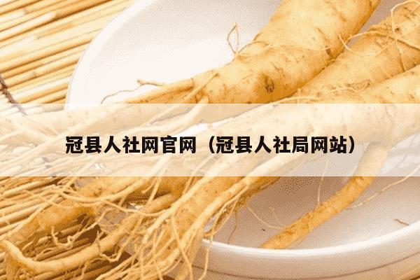 冠县人社网官网（冠县人社局网站）