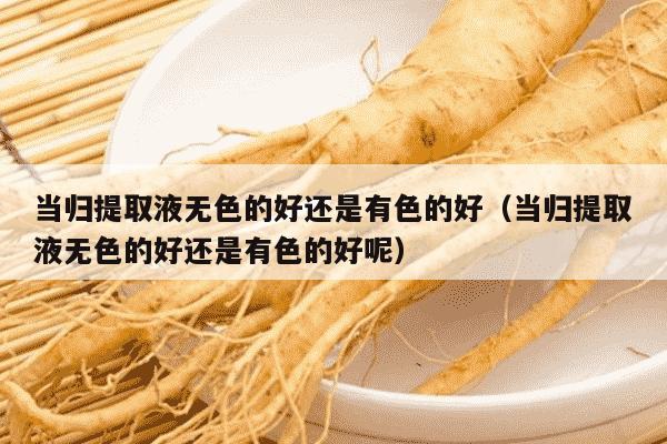 当归提取液无色的好还是有色的好（当归提取液无色的好还是有色的好呢）