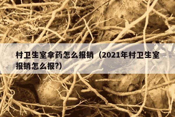 村卫生室拿药怎么报销（2021年村卫生室报销怎么报?）
