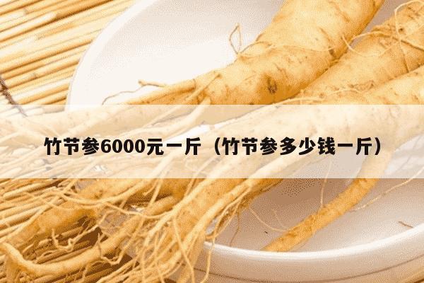 竹节参6000元一斤（竹节参多少钱一斤）
