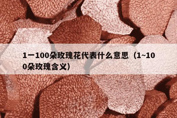 1一100朵玫瑰花代表什么意思（1~100朵玫瑰含义）