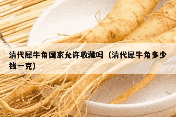 清代犀牛角国家允许收藏吗（清代犀牛角多少钱一克）