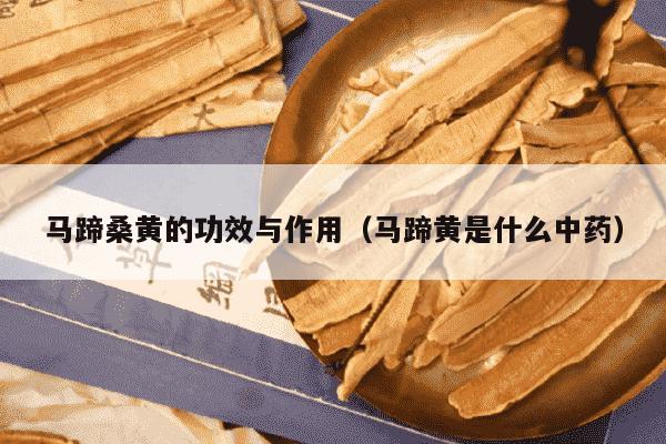 马蹄桑黄的功效与作用（马蹄黄是什么中药）