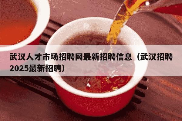 武汉人才市场招聘网最新招聘信息（武汉招聘2025最新招聘）