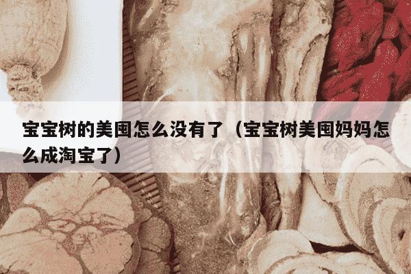 宝宝树的美囤怎么没有了（宝宝树美囤妈妈怎么成淘宝了）