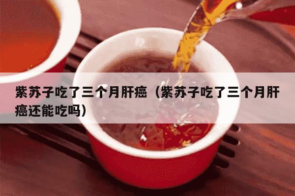 紫苏子吃了三个月肝癌（紫苏子吃了三个月肝癌还能吃吗）