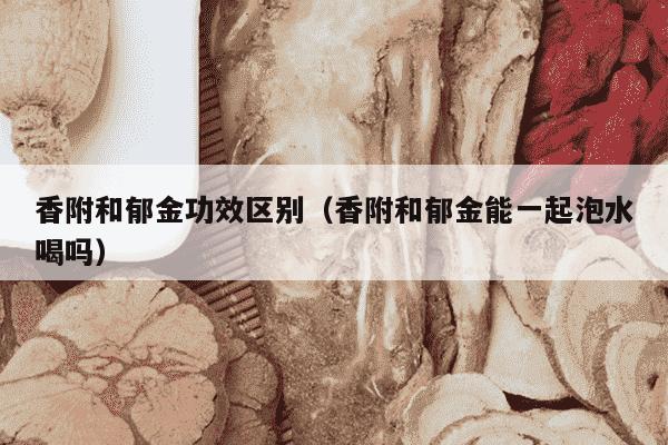 香附和郁金功效区别（香附和郁金能一起泡水喝吗）
