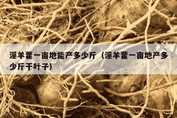 淫羊藿一亩地能产多少斤（淫羊藿一亩地产多少斤干叶子）