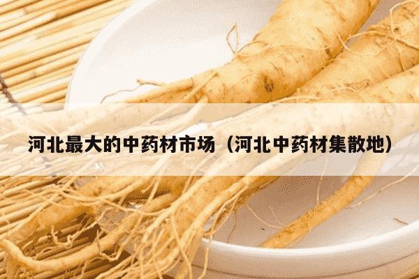 河北最大的中药材市场（河北中药材集散地）
